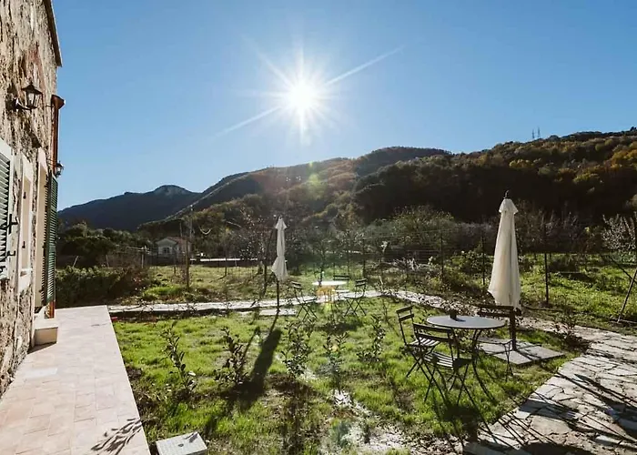 Lantgård Il Canto Delle Rane *