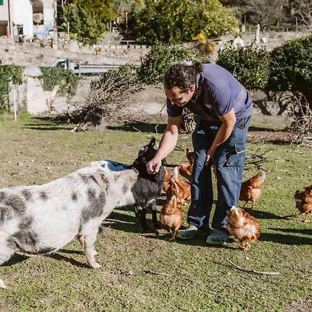 Il Canto Delle Rane Séjour à la ferme