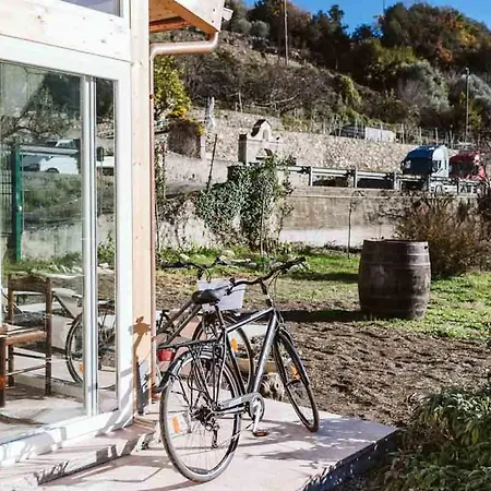 Il Canto Delle Rane