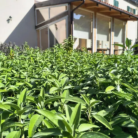 Alloggio per agriturismo Il Canto Delle Rane Finale Ligure