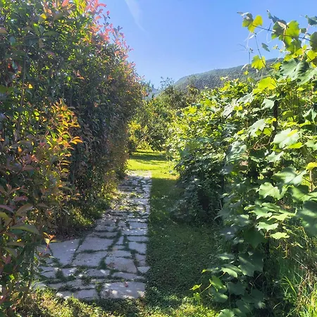 Il Canto Delle Rane Alloggio per agriturismo