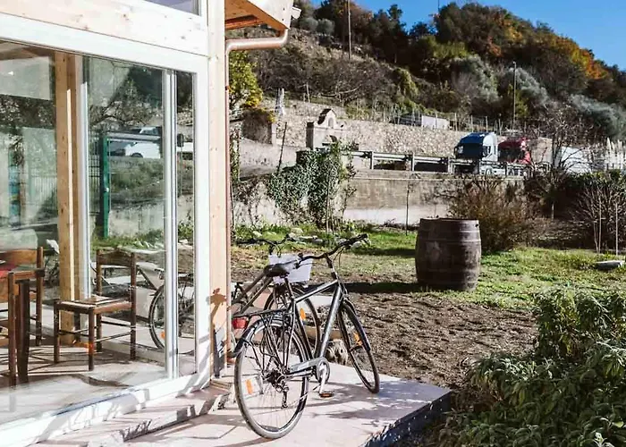 Il Canto Delle Rane